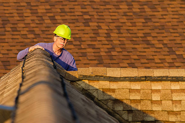 Best Storm Damage Roof Repair  in Bellwood, IL