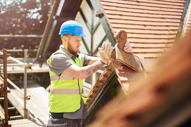 Best Flat Roof Repair Services  in Bellwood, IL